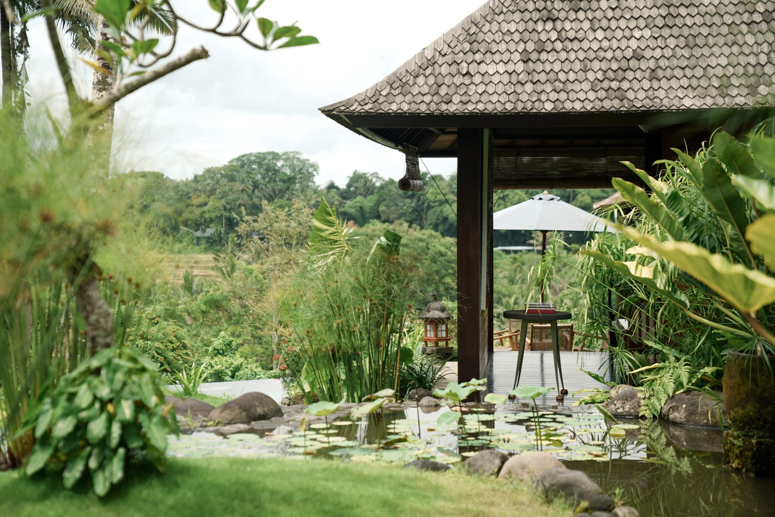 Outdoor Garden